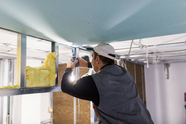Best Eco-Friendly Insulation in North Industry, OH